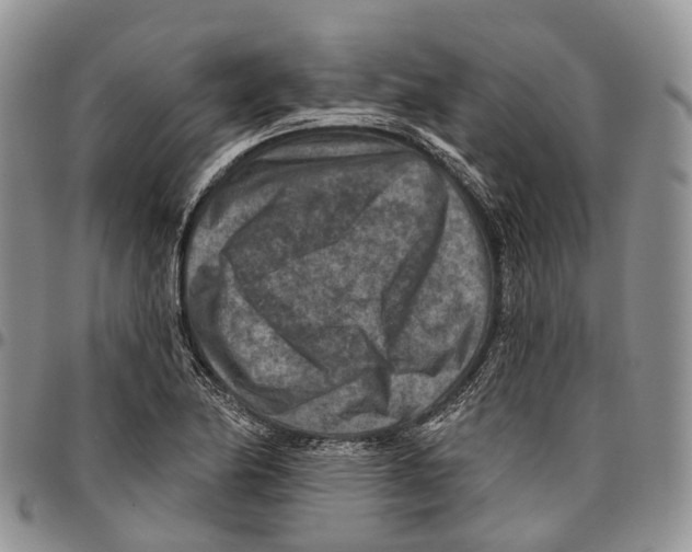 X0000096711174200803041335