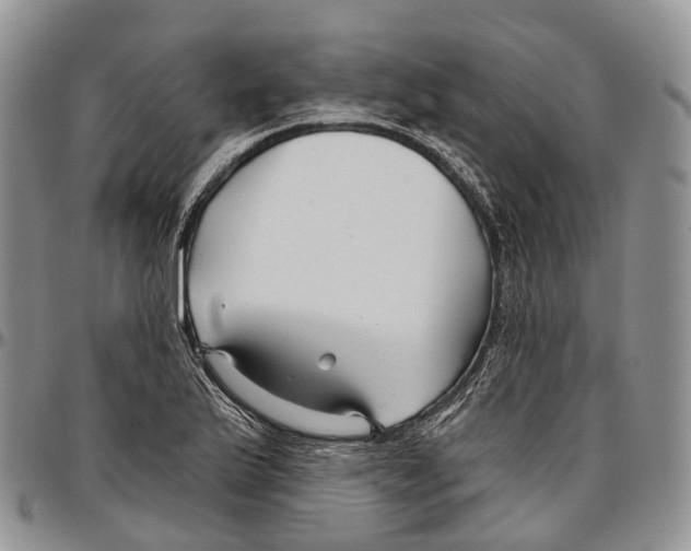 X0000096711175200803041335