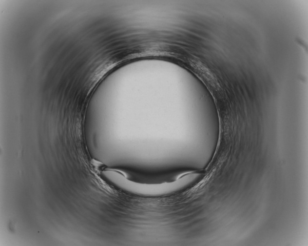 X0000096711177200803041335