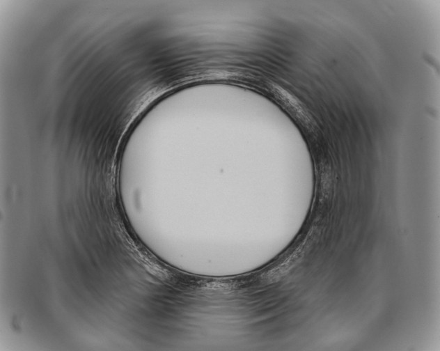 X0000096711178200803041335