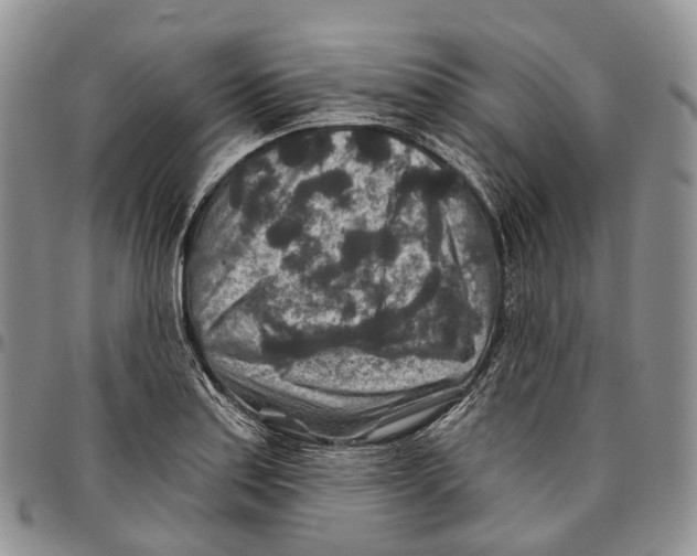 X0000096711179200803041335