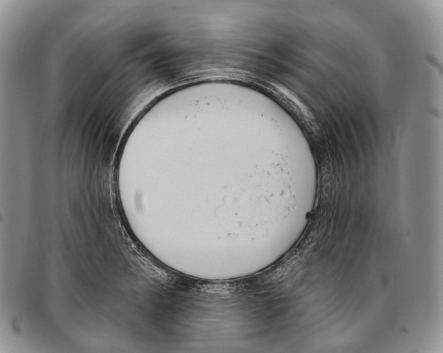 X0000096711182200803041335