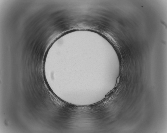 X0000096711183200803041335