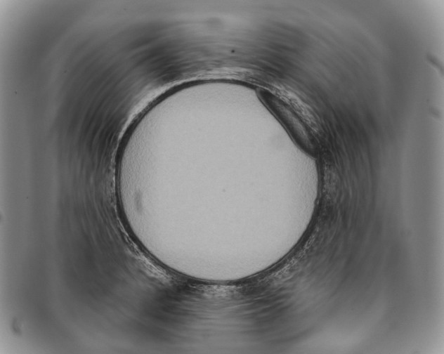 X0000096711184200803041335