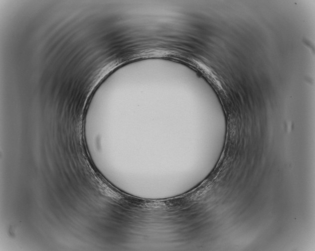 X0000096711186200803041335