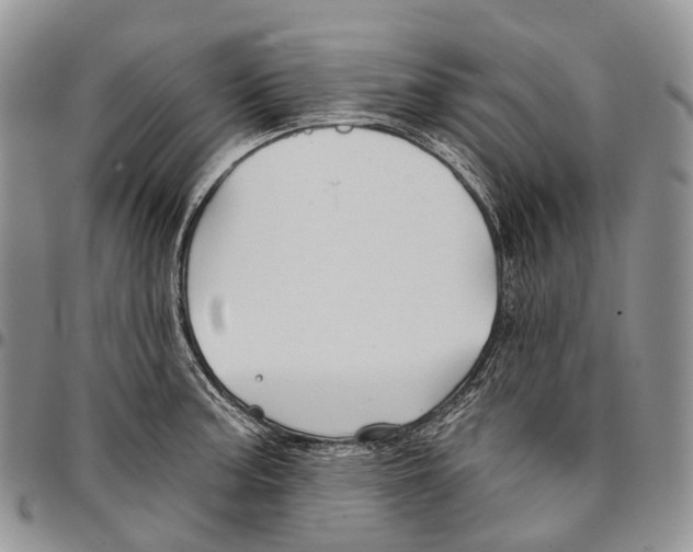 X0000096711187200803041335