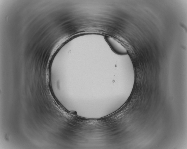 X0000096711188200803041335