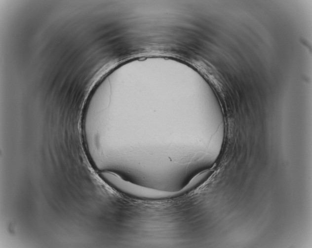 X0000096711189200803041335