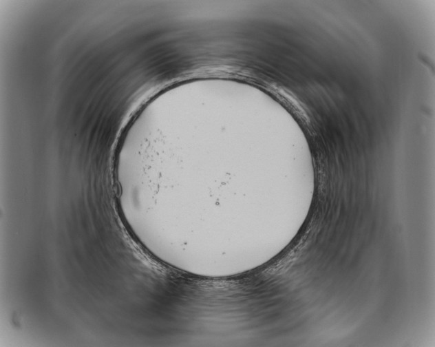 X0000096711192200803041335