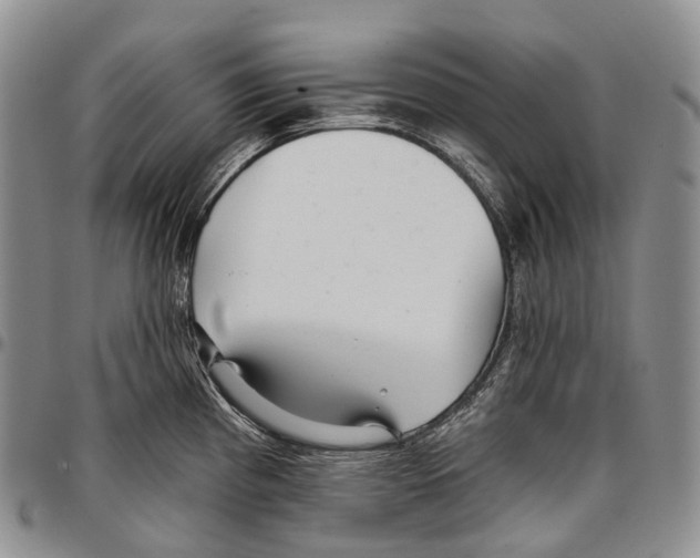 X0000096711193200803041335