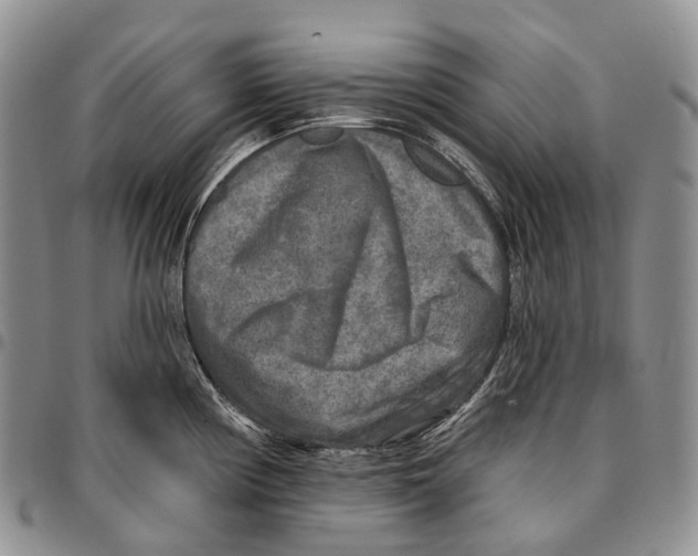 X0000096711194200803041335