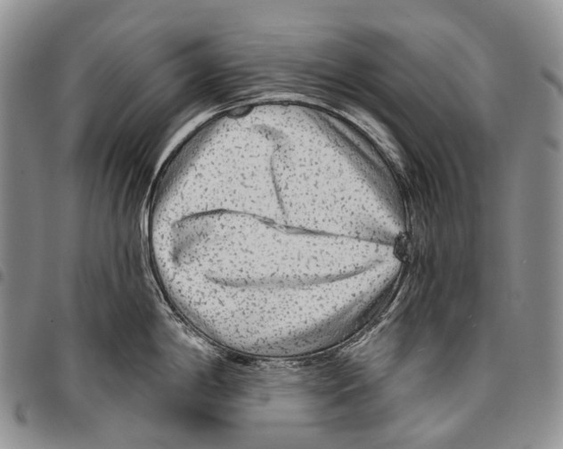 X0000096711198200803041335