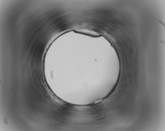 X0000096711200200803041335