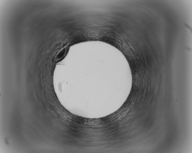 X0000096711201200803041334