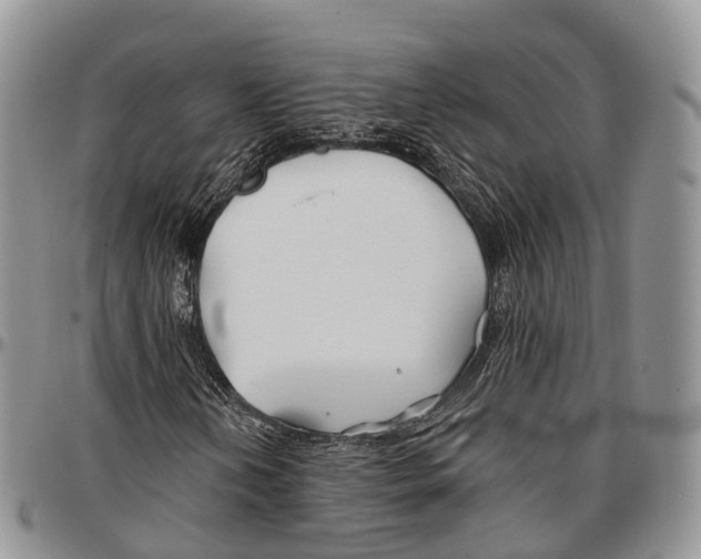 X0000096711202200803041334