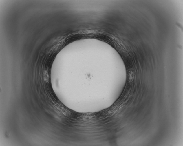 X0000096711204200803041334