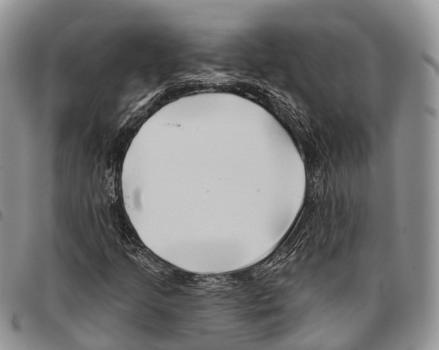 X0000096711205200803041334