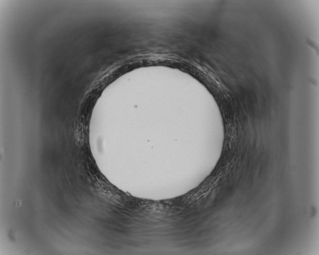 X0000096711207200803041334