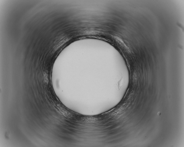 X0000096711209200803041334