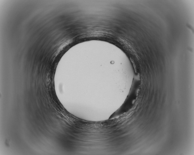 X0000096711210200803041334