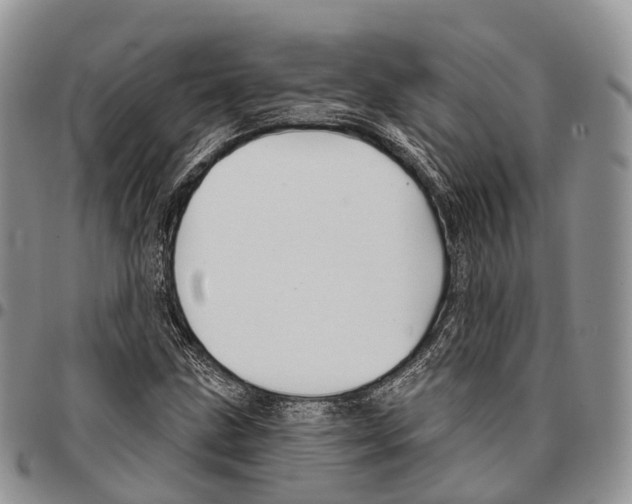 X0000096711211200803041334