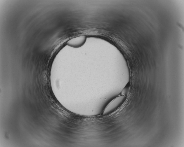 X0000096711212200803041334