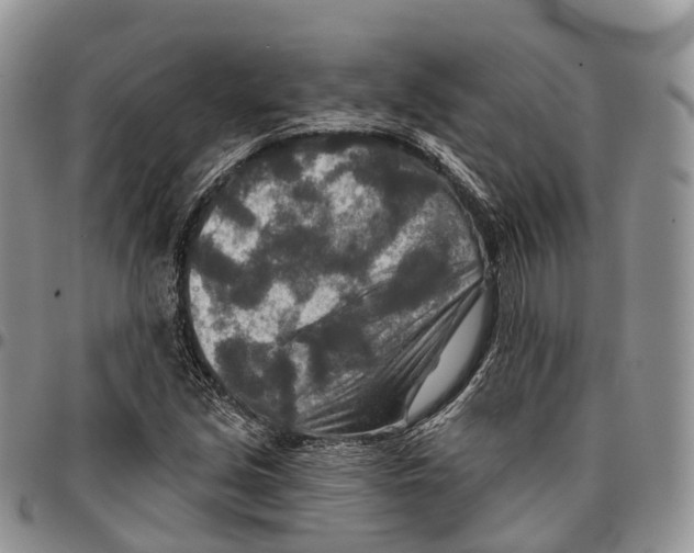 X0000096711213200803041334