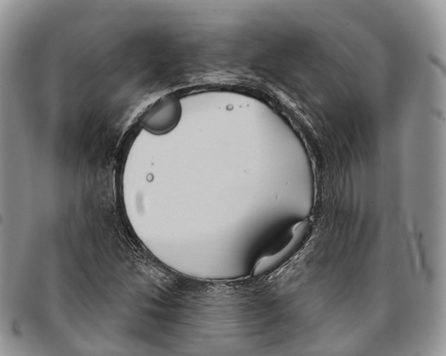 X0000096711214200803041334