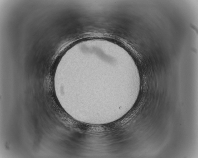 X0000096711215200803041334