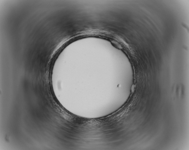 X0000096711216200803041334