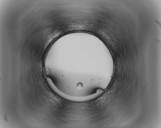 X0000096711218200803041334