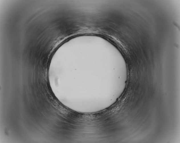 X0000096711220200803041334