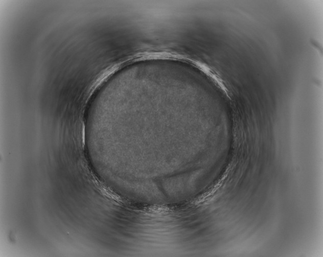 X0000096711221200803041334