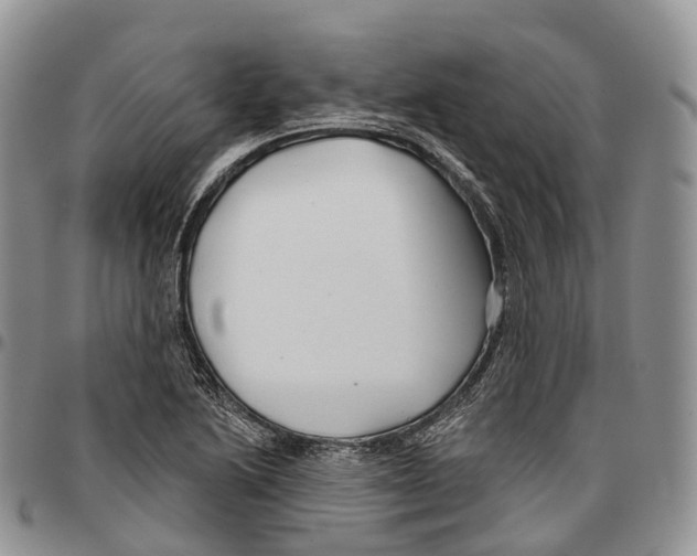 X0000096711222200803041334