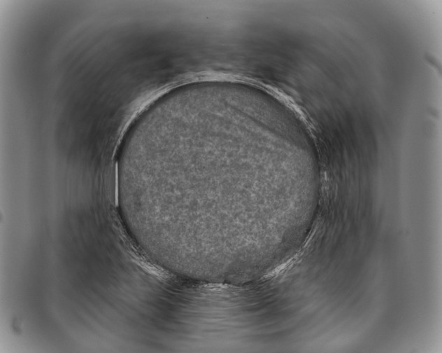 X0000096711223200803041334