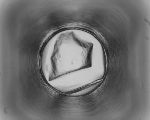 X0000096711224200803041334