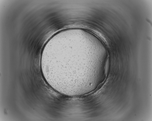 X0000096711228200803041334