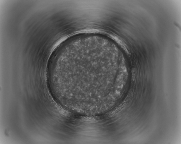 X0000096711229200803041334