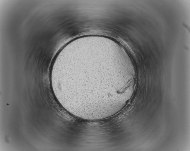 X0000096711230200803041334