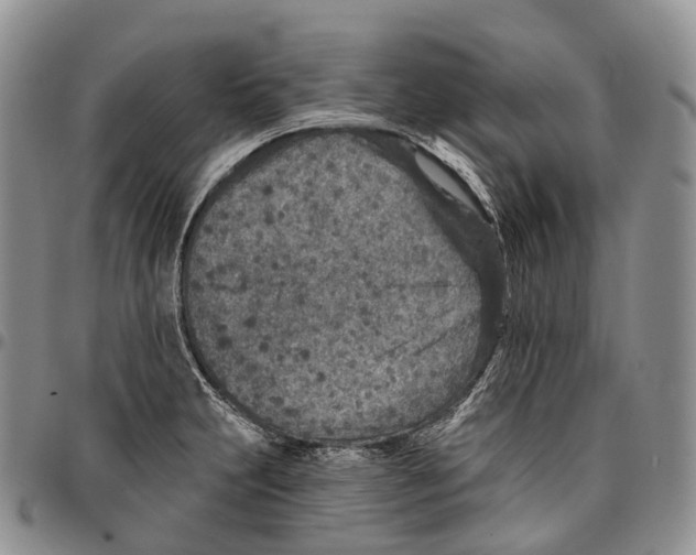 X0000096711231200803041334