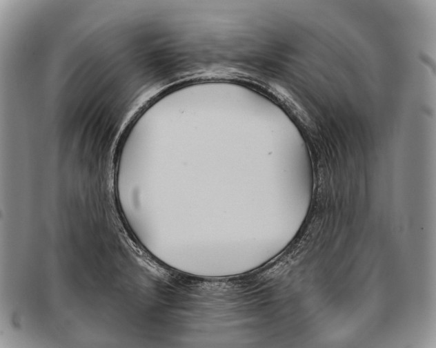 X0000096711232200803041334