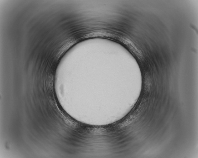 X0000096711233200803041334