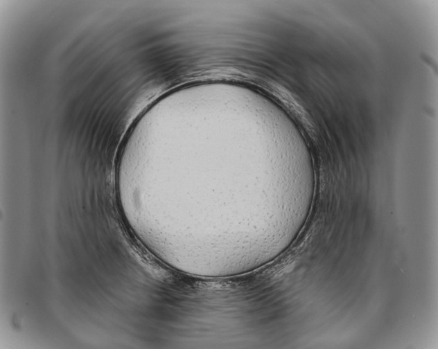 X0000096711234200803041334