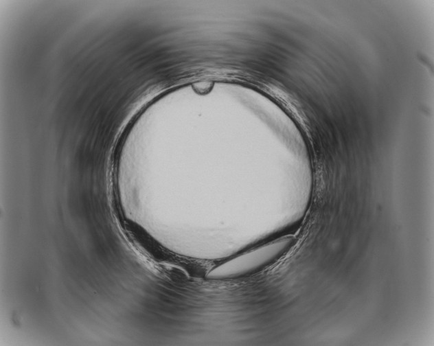 X0000096711235200803041334