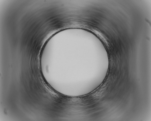 X0000096711238200803041334