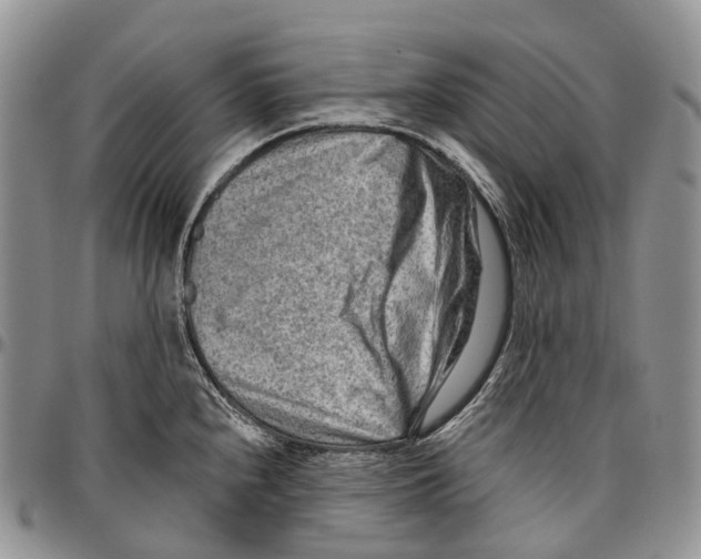 X0000096711240200803041334