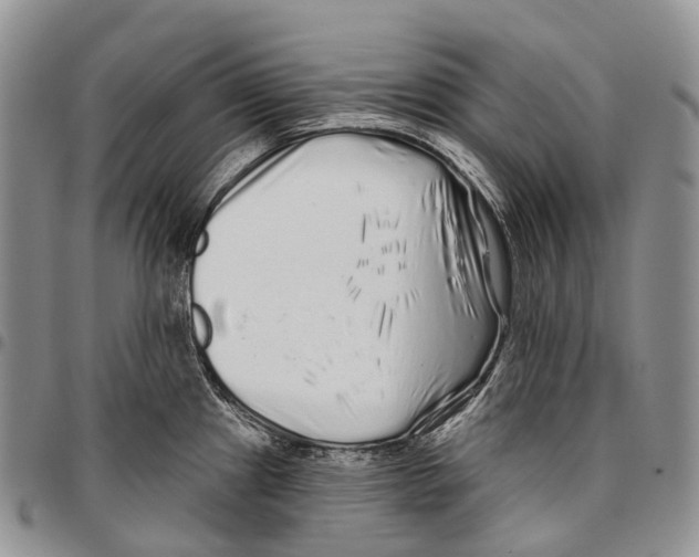 X0000096711241200803041334