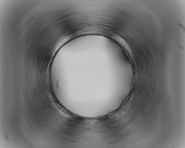 X0000096711242200803041334