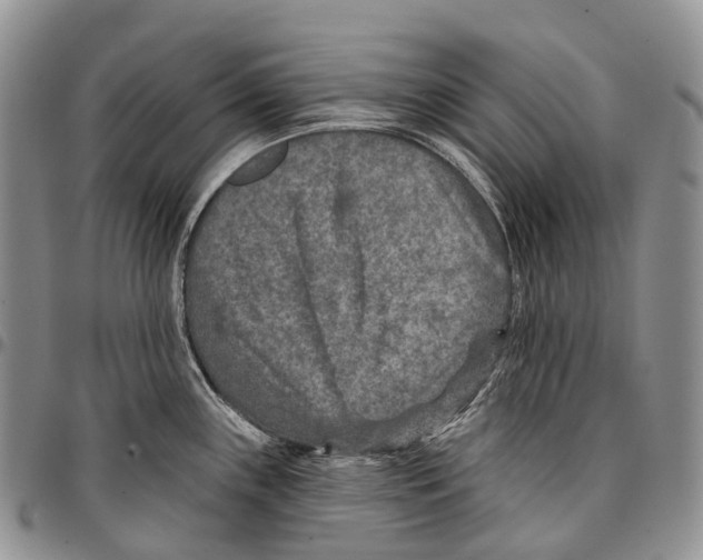 X0000096711243200803041334