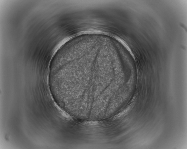 X0000096711245200803041334